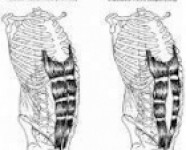 Pilates y ejercicios post parto